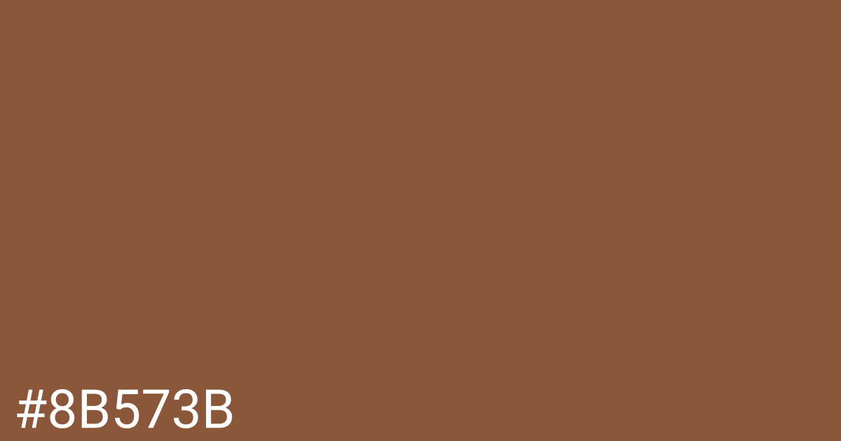 Hex color #8b573b graphic