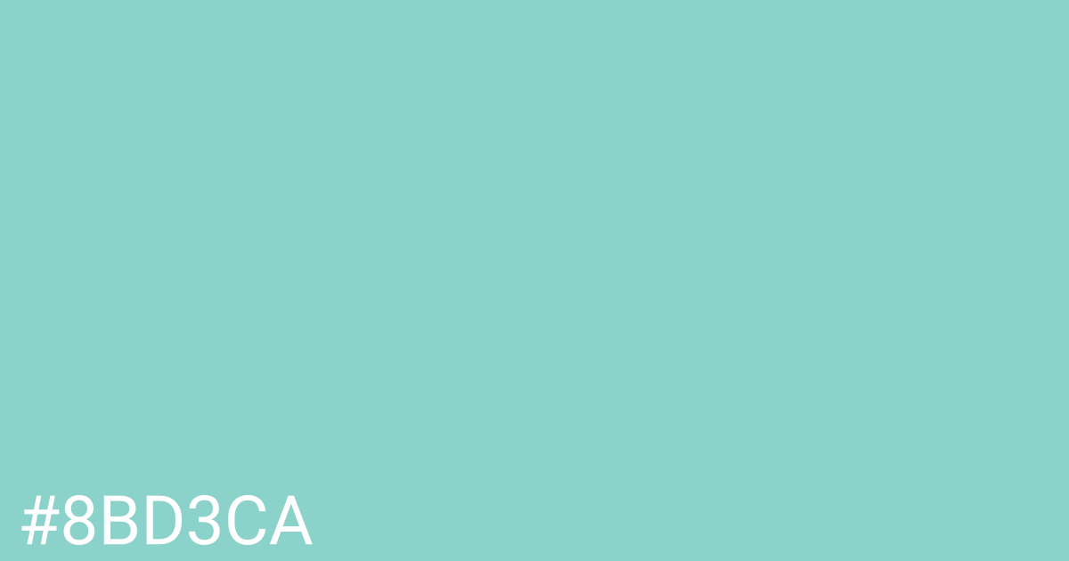 Hex color #8bd3ca graphic