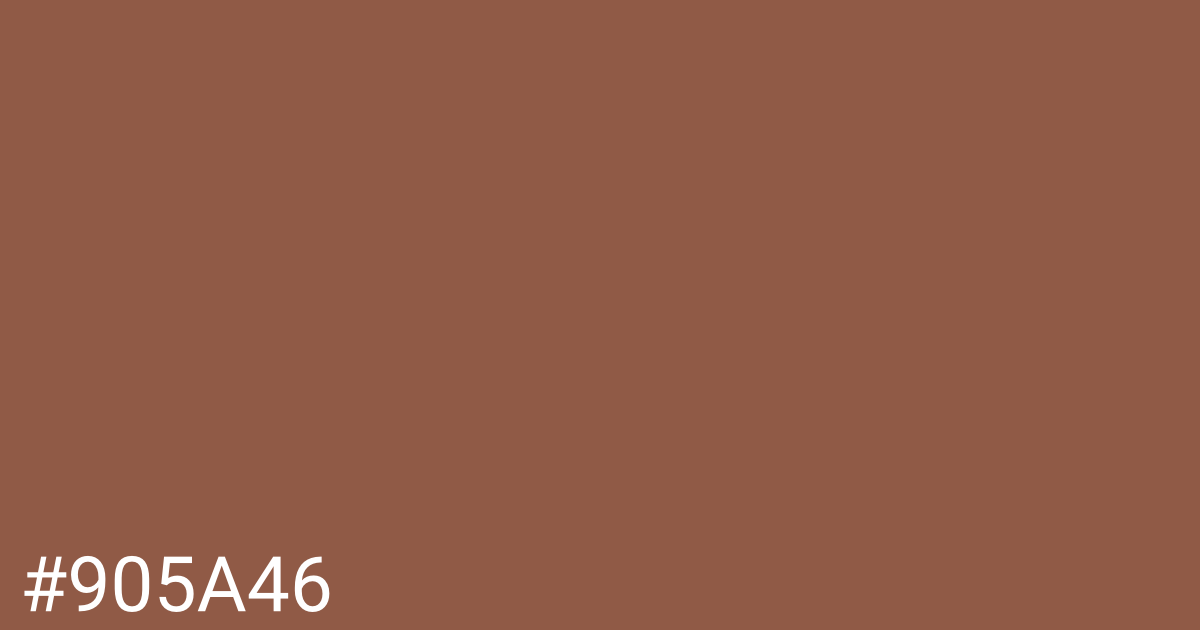 Hex color #905a46 graphic