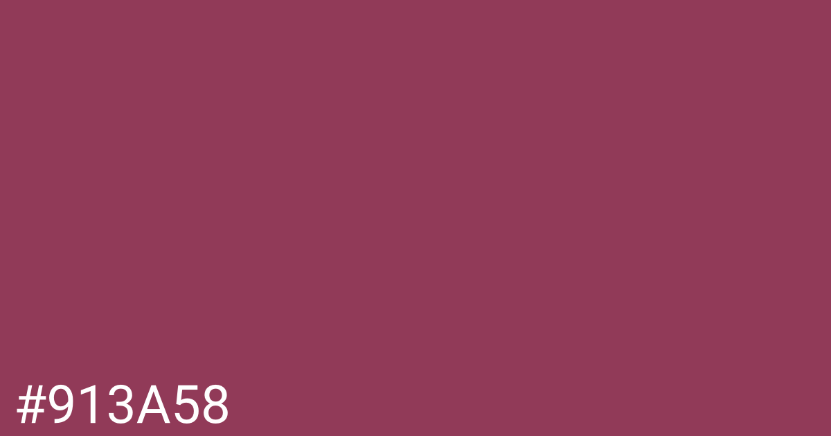 Hex color #913a58 graphic