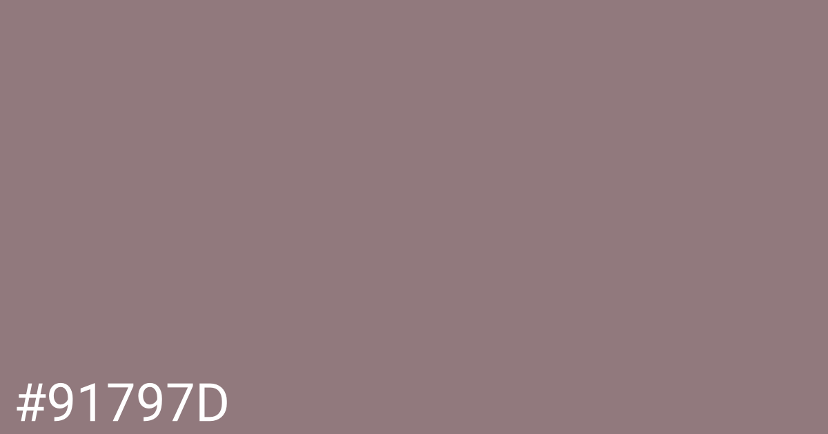 Hex color #91797d graphic
