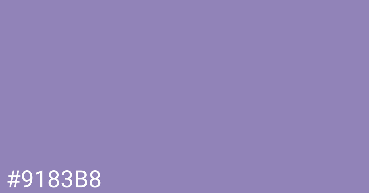 Hex color #9183b8 graphic