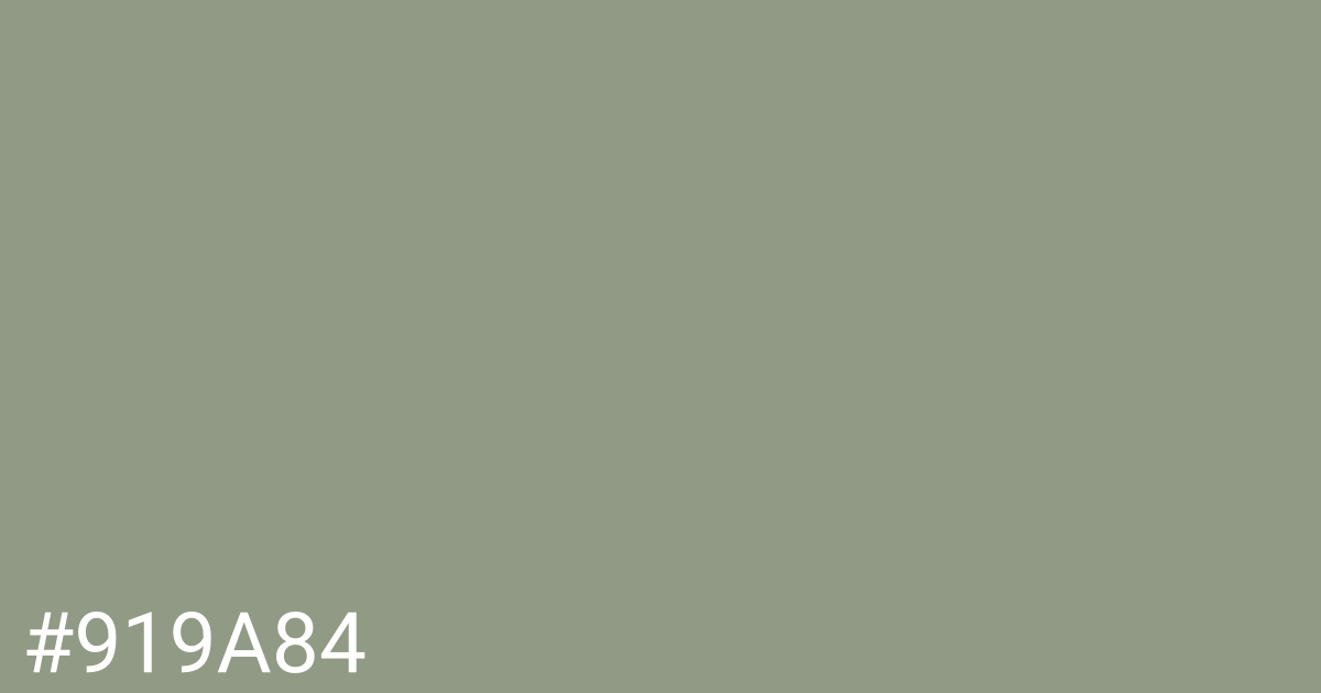 Hex color #919a84 graphic