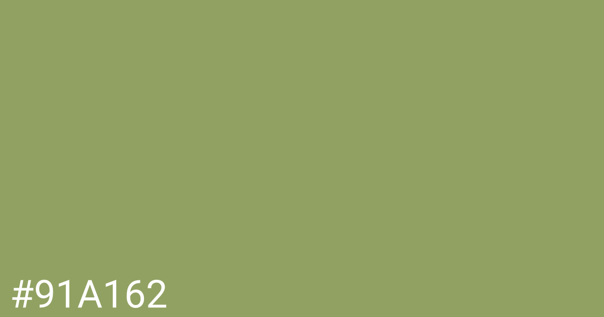 Hex color #91a162 graphic