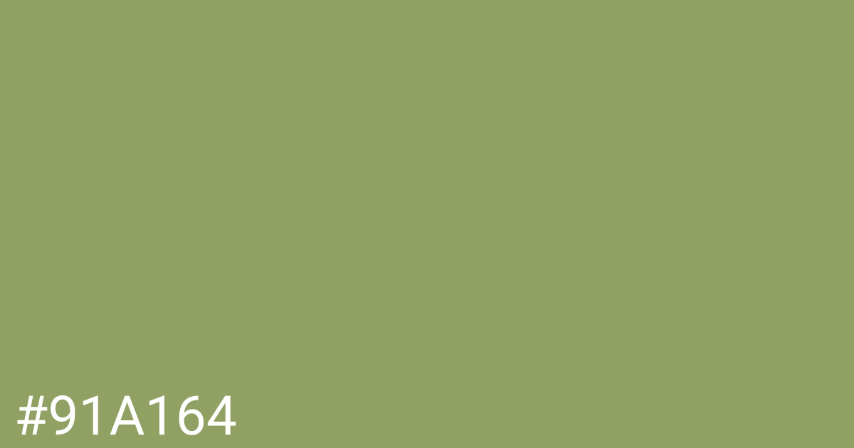 Hex color #91a164 graphic