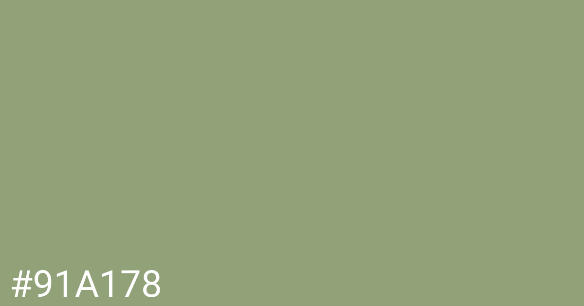 Hex color #91a178 graphic