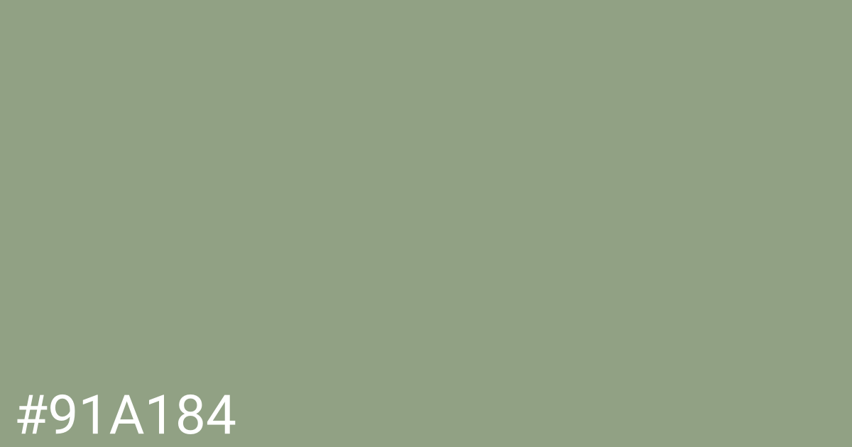 Hex color #91a184 graphic