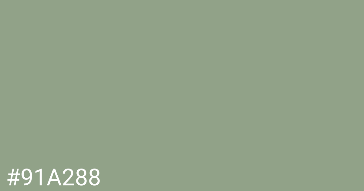 Hex color #91a288 graphic