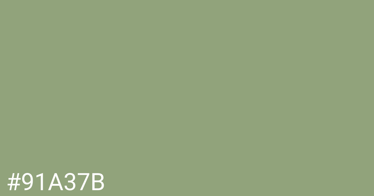 Hex color #91a37b graphic