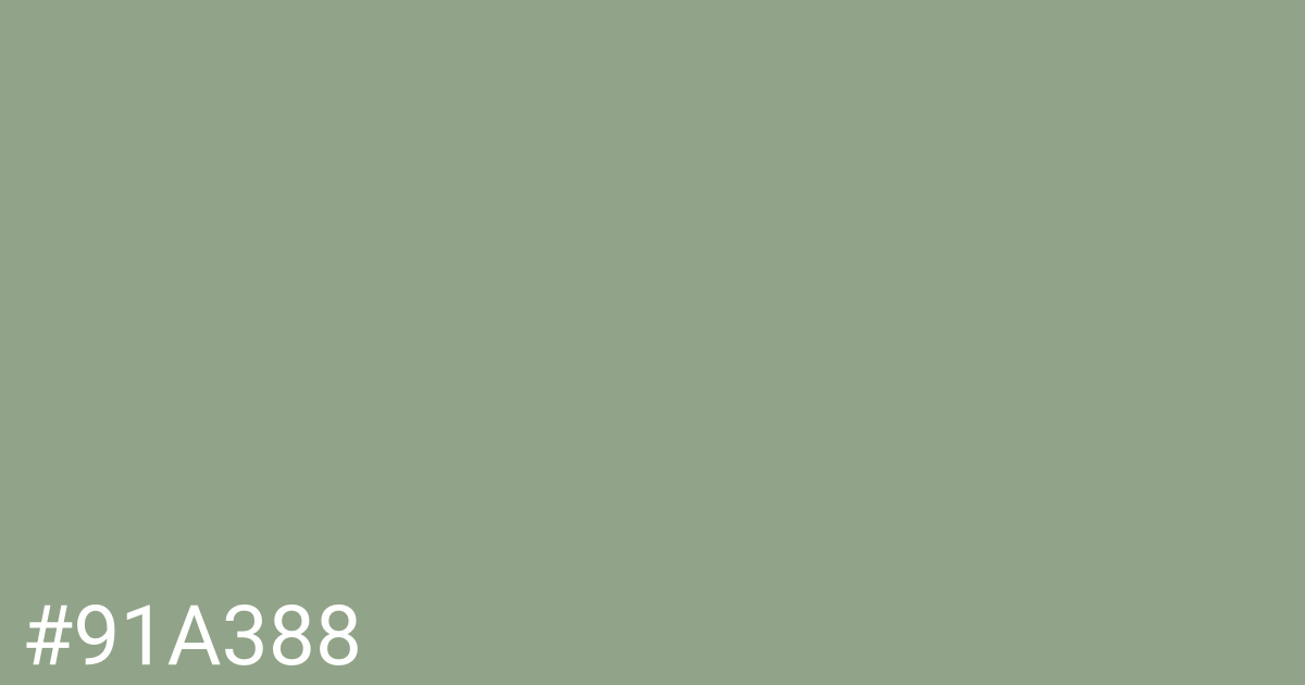 Hex color #91a388 graphic