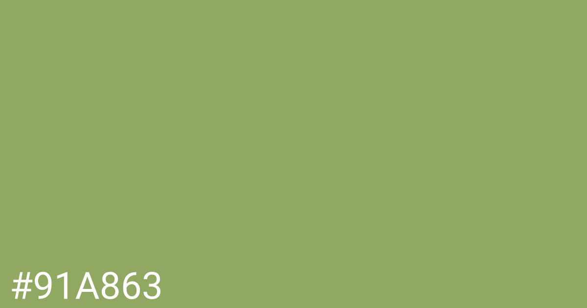 Hex color #91a863 graphic