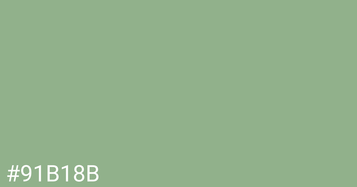 Hex color #91b18b graphic