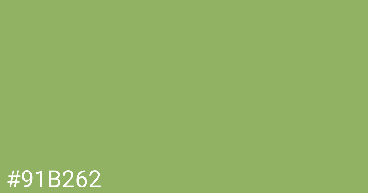 Hex color #91b262 graphic