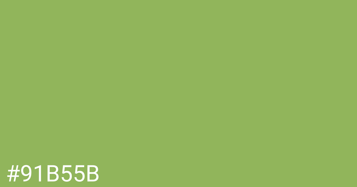 Hex color #91b55b graphic