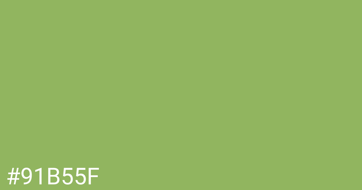 Hex color #91b55f graphic