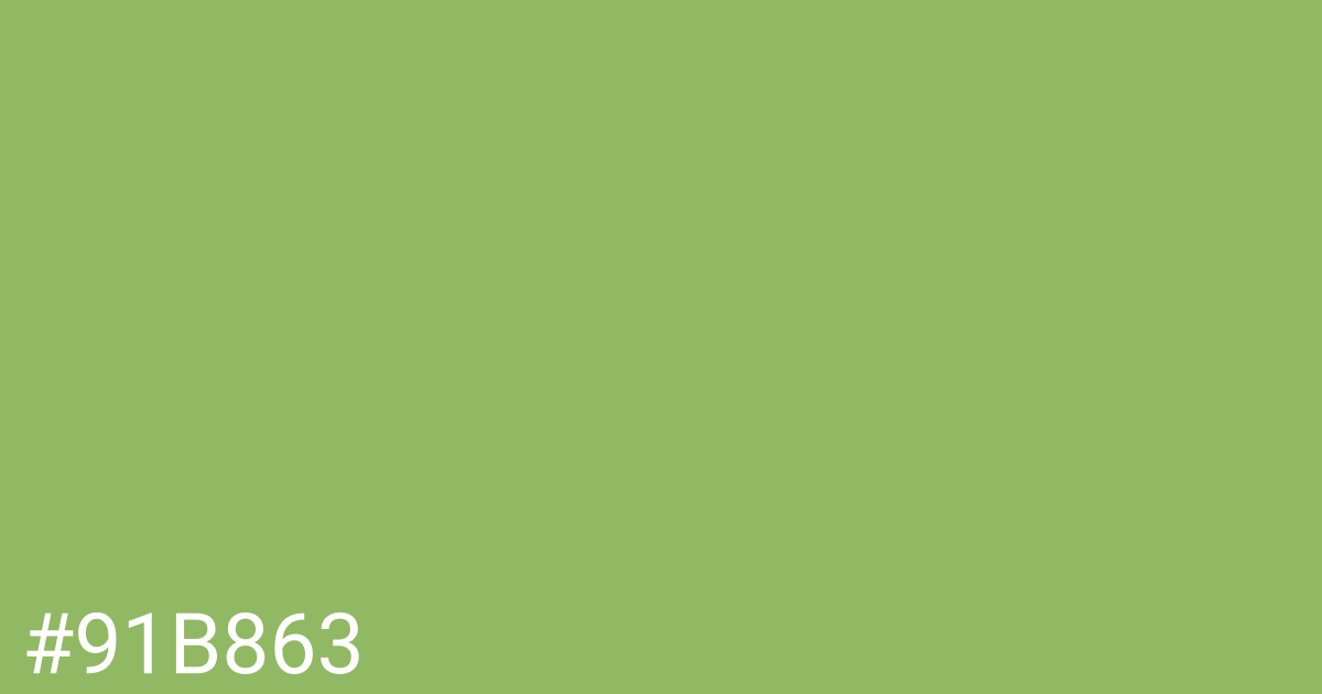 Hex color #91b863 graphic