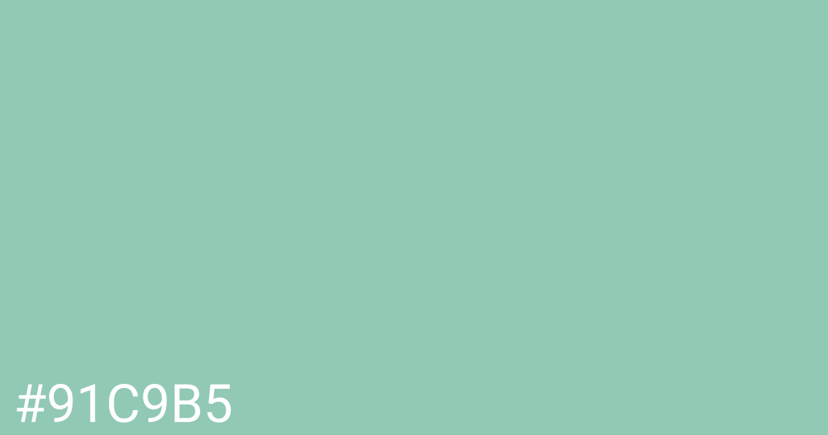 Hex color #91c9b5 graphic