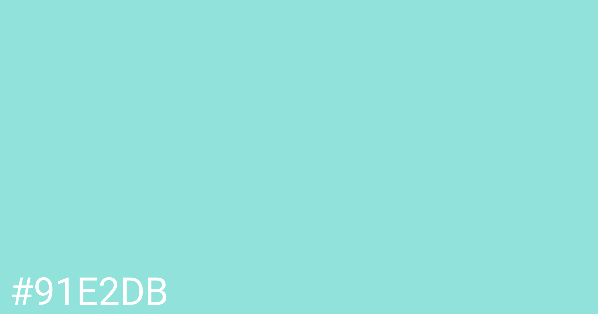 Hex color #91e2db graphic