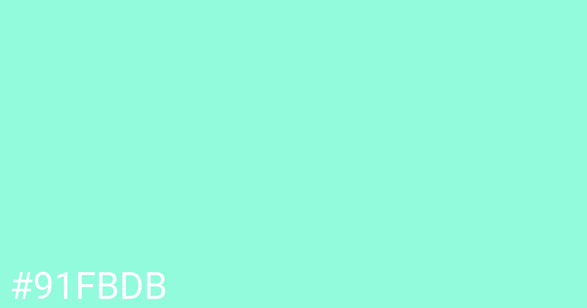 Hex color #91fbdb graphic