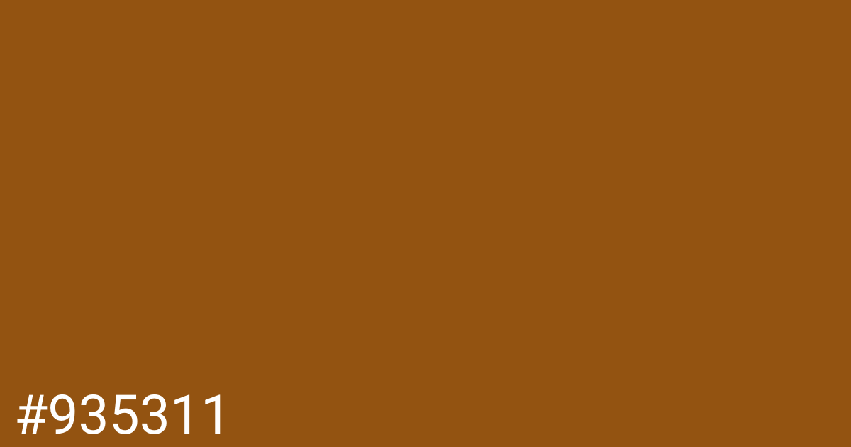 Hex color #935311 graphic