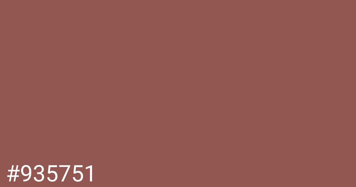 Hex color #935751 graphic