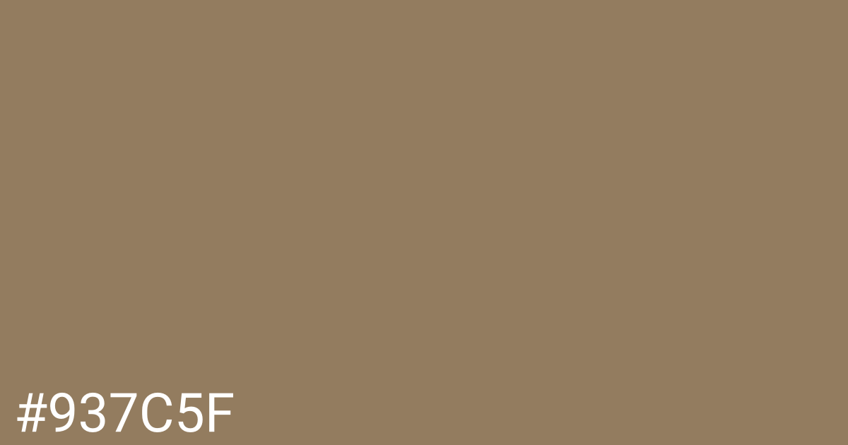 Hex color #937c5f graphic