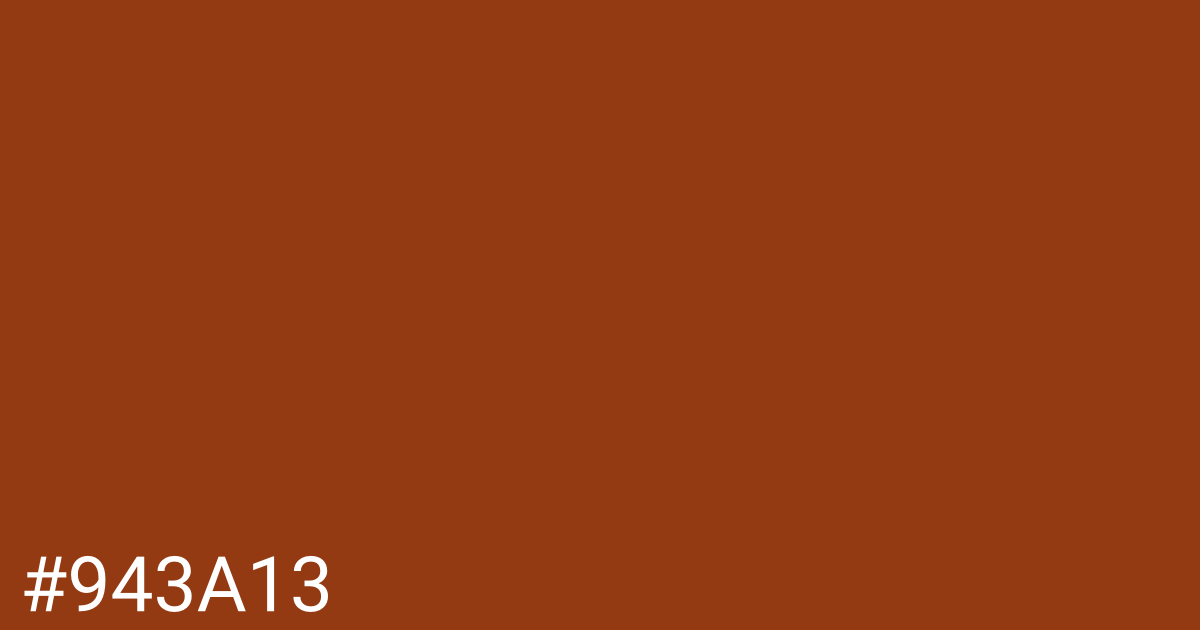 Hex color #943a13 graphic