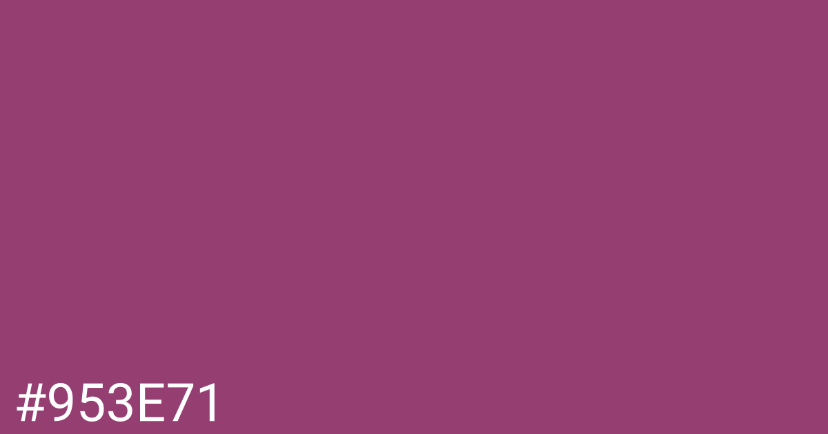 Hex color #953e71 graphic