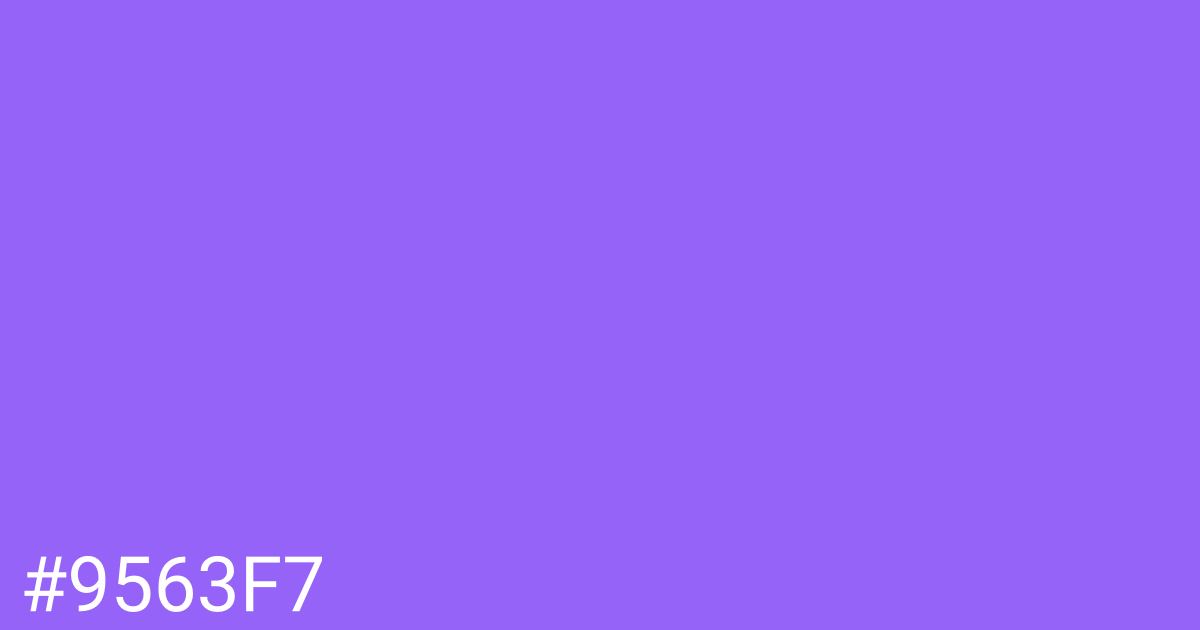 Hex color #9563f7 graphic