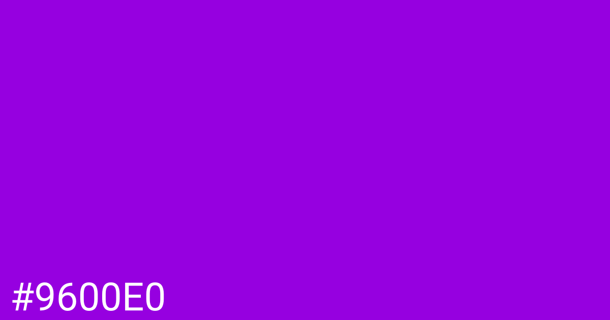 Hex color #9600e0 graphic