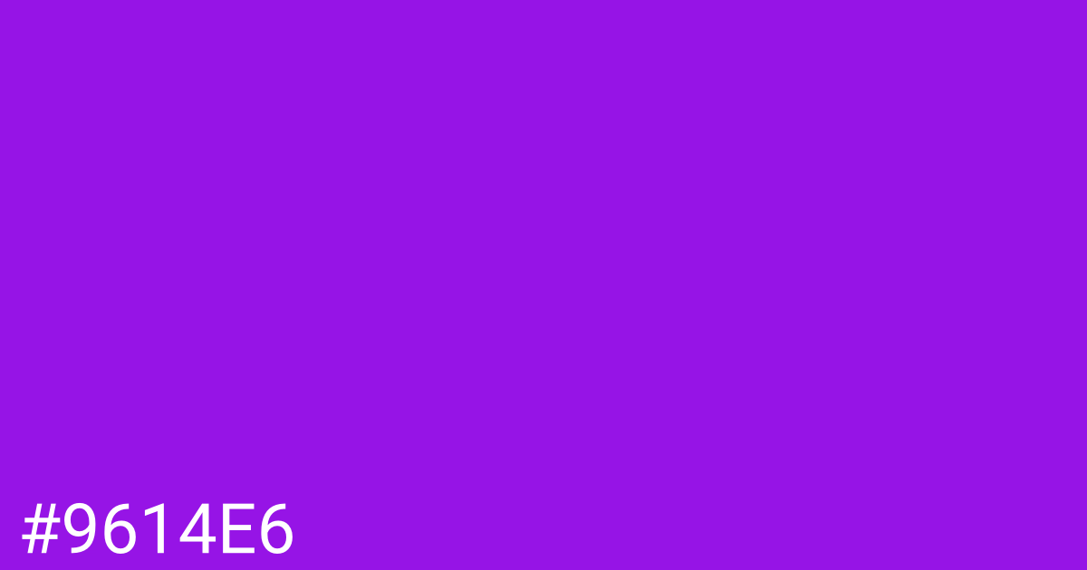 Hex color #9614e6 graphic