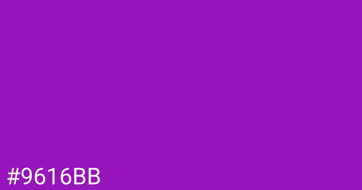 Hex color #9616bb graphic