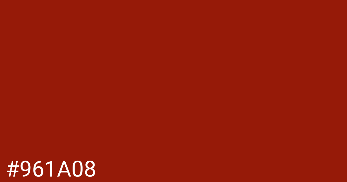 Hex color #961a08 graphic