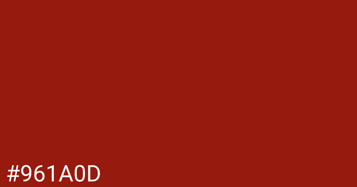 Hex color #961a0d graphic