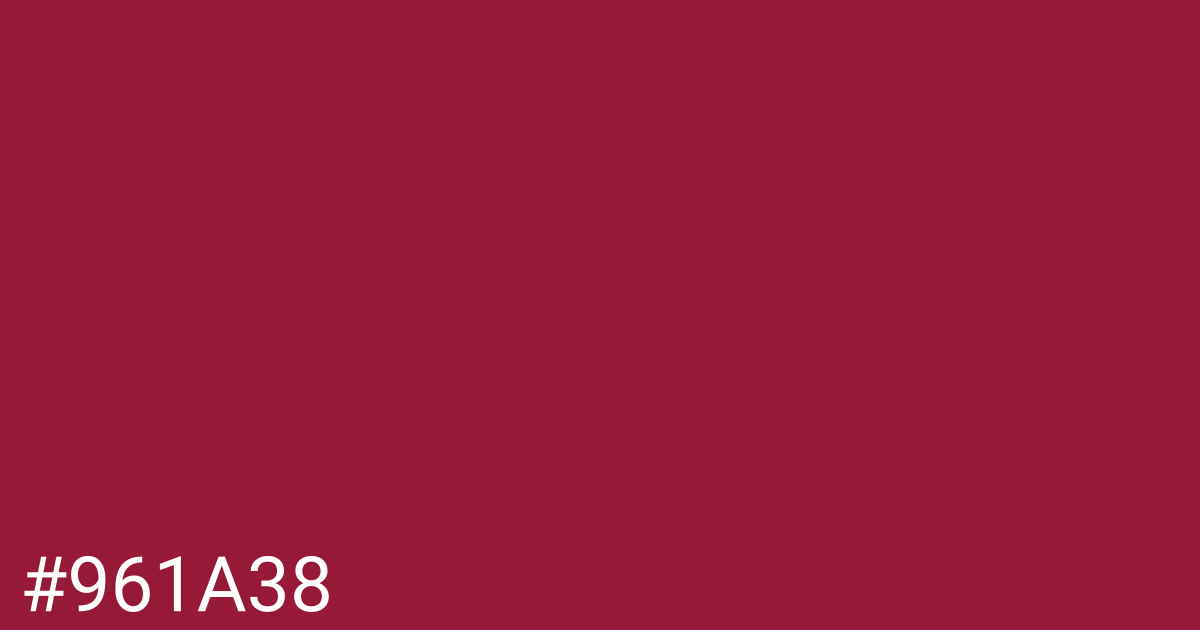 Hex color #961a38 graphic