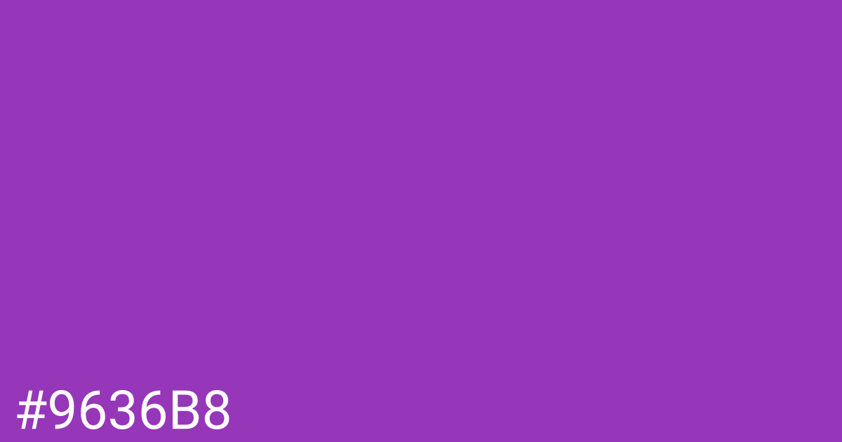 Hex color #9636b8 graphic