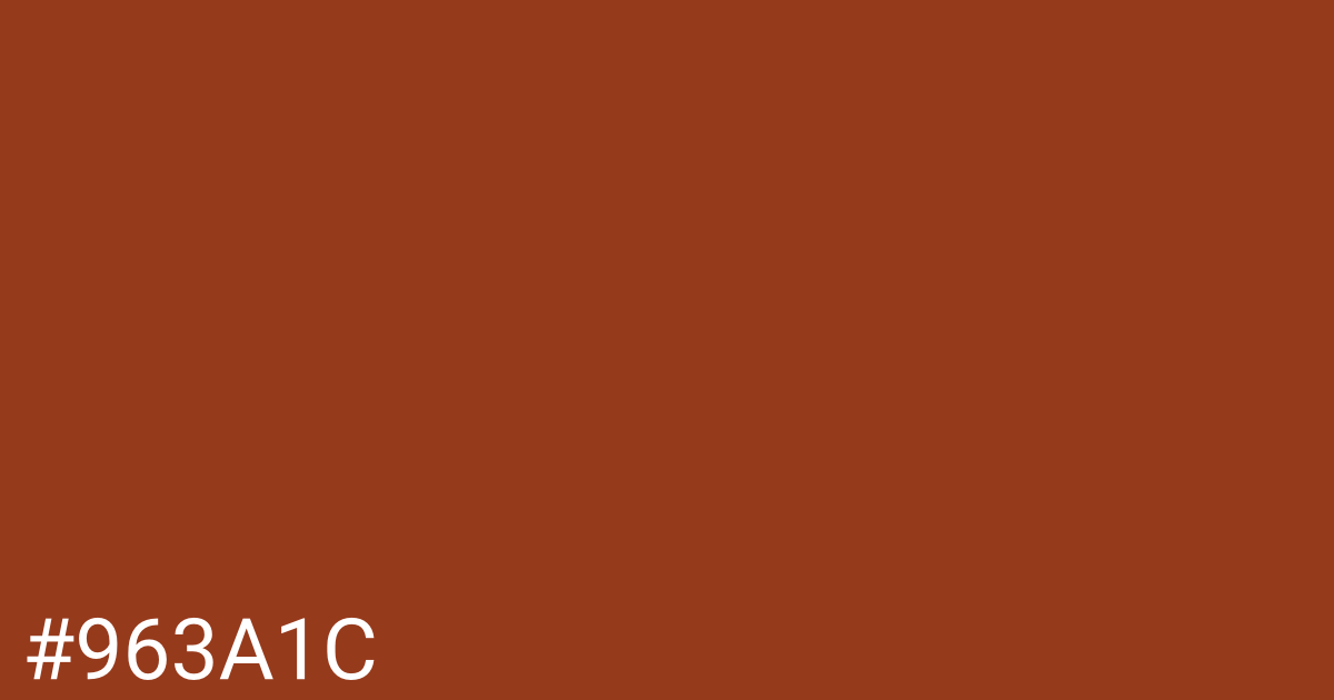 Hex color #963a1c graphic