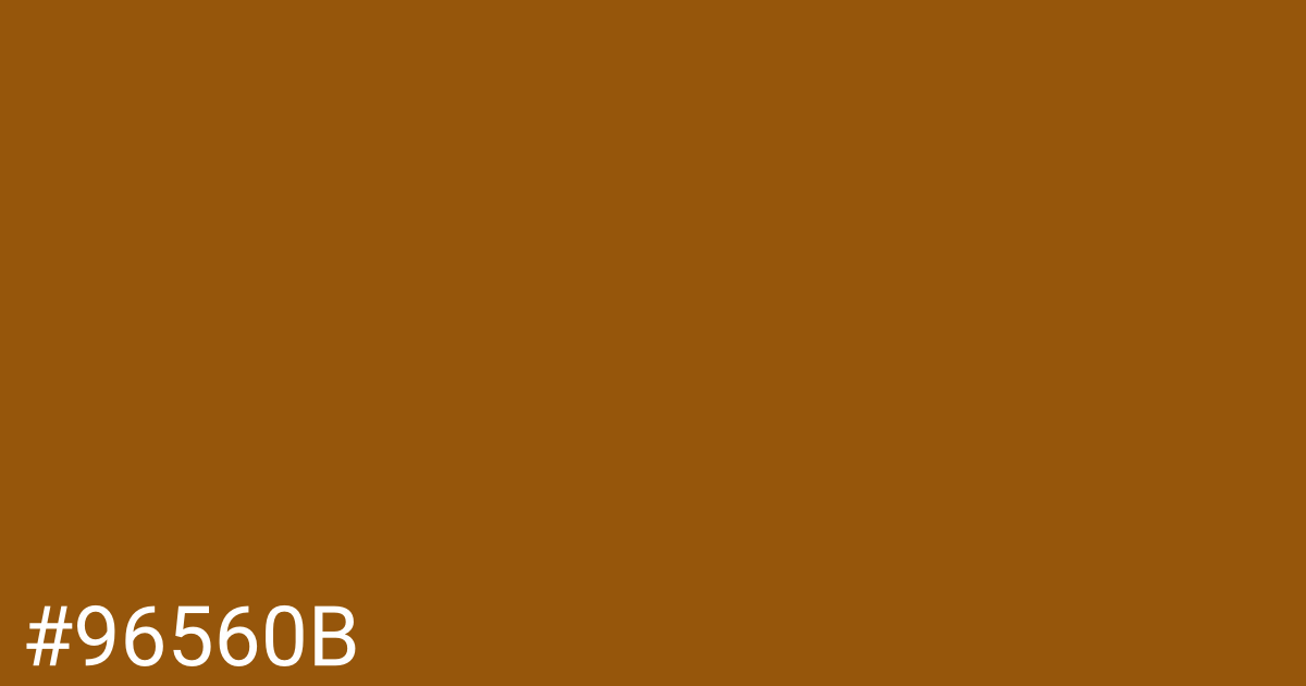 Hex color #96560b graphic