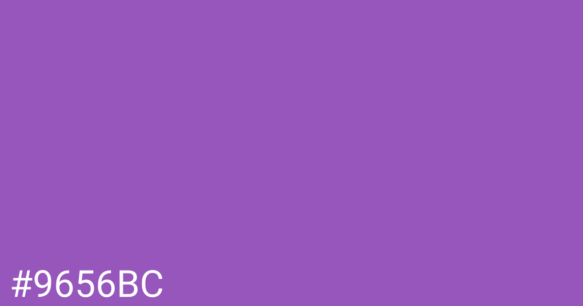 Hex color #9656bc graphic