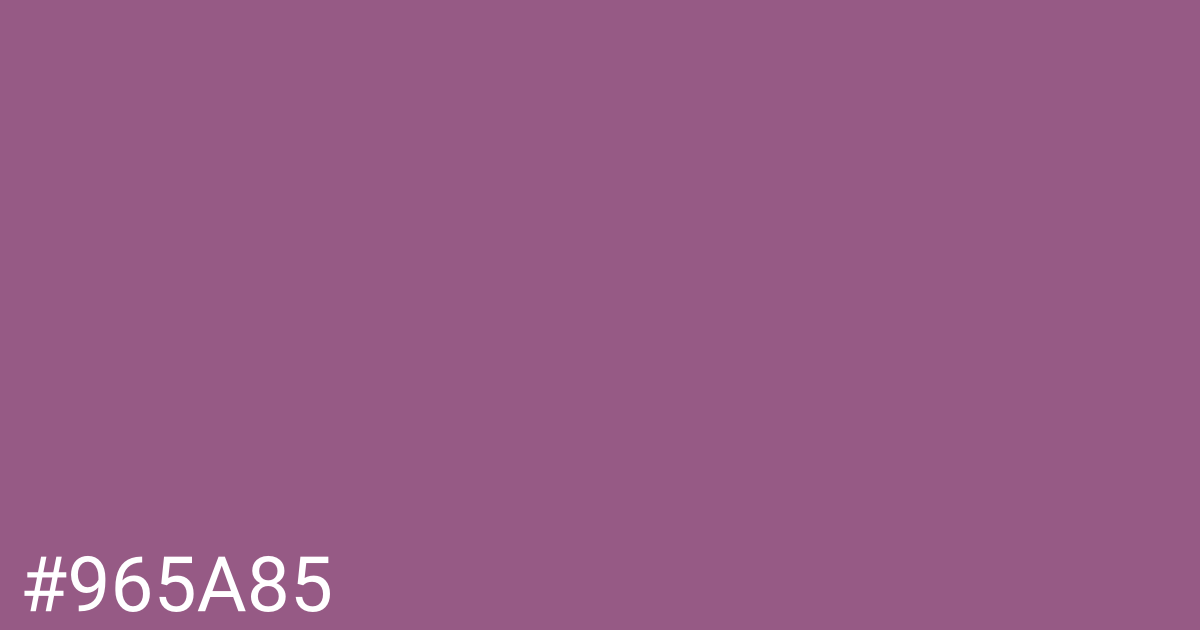 Hex color #965a85 graphic