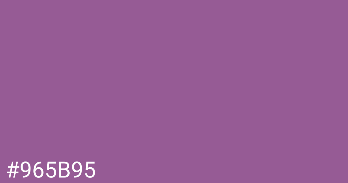 Hex color #965b95 graphic