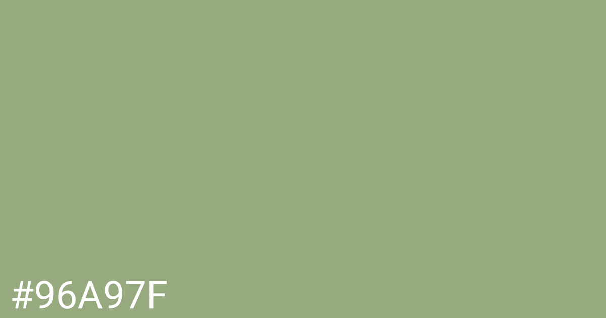 Hex color #96a97f graphic