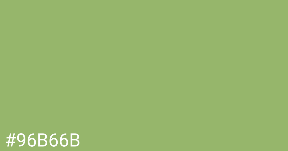 Hex color #96b66b graphic