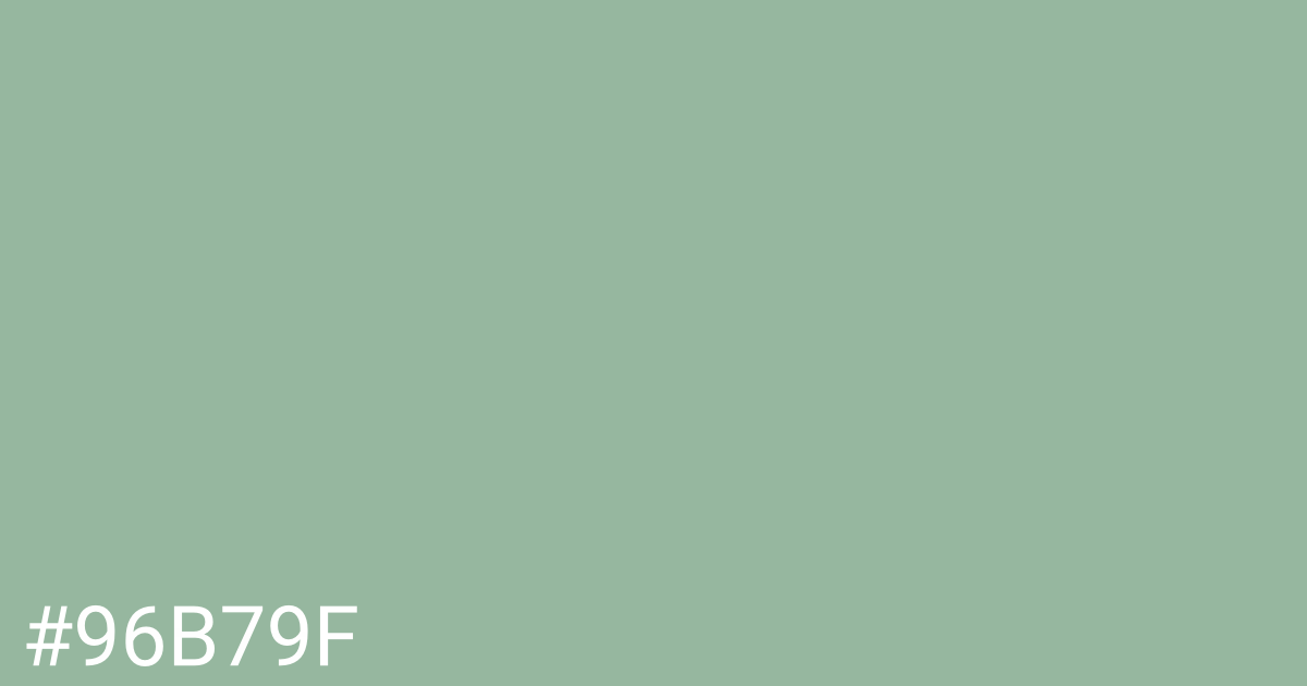 Hex color #96b79f graphic