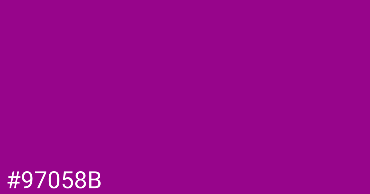 Hex color #97058b graphic