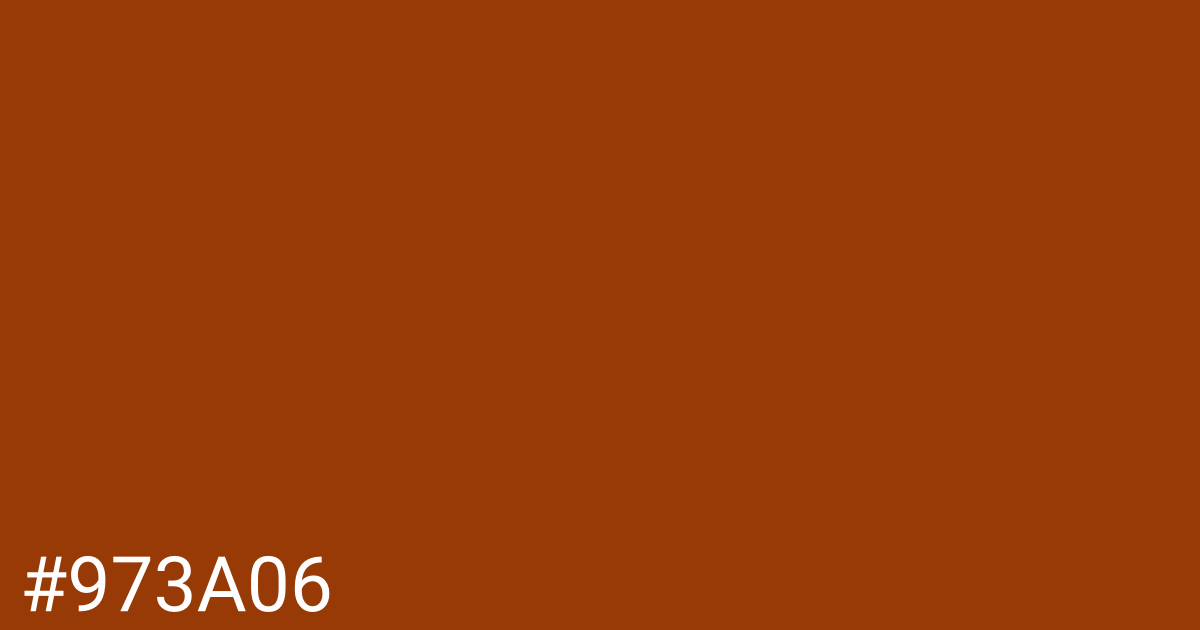 Hex color #973a06 graphic