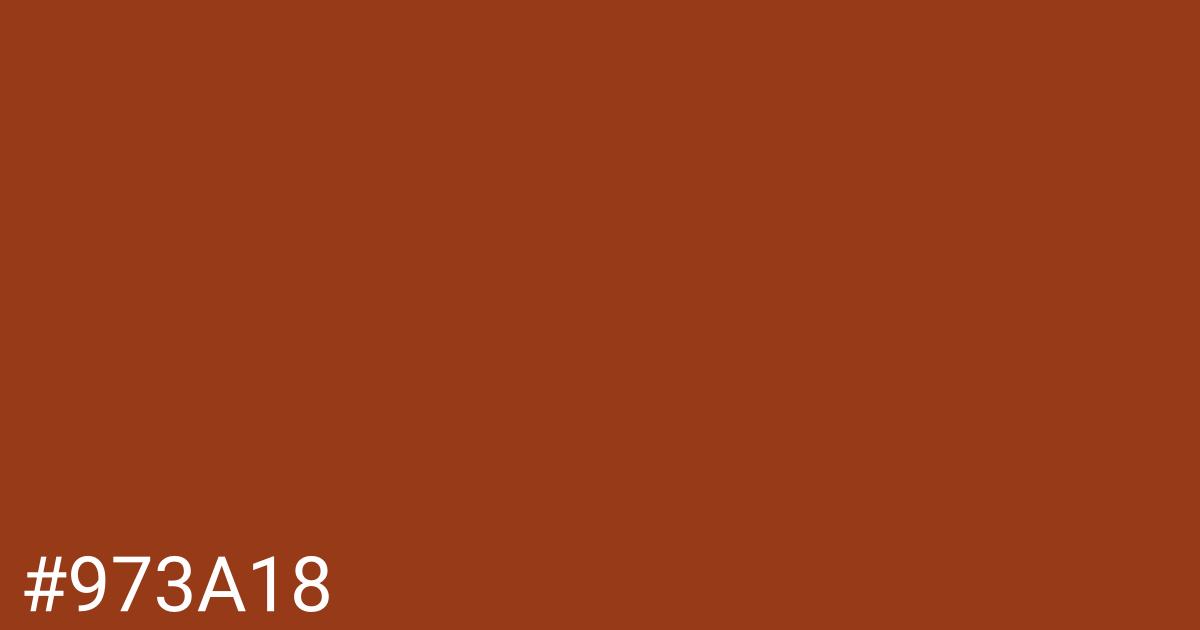 Hex color #973a18 graphic