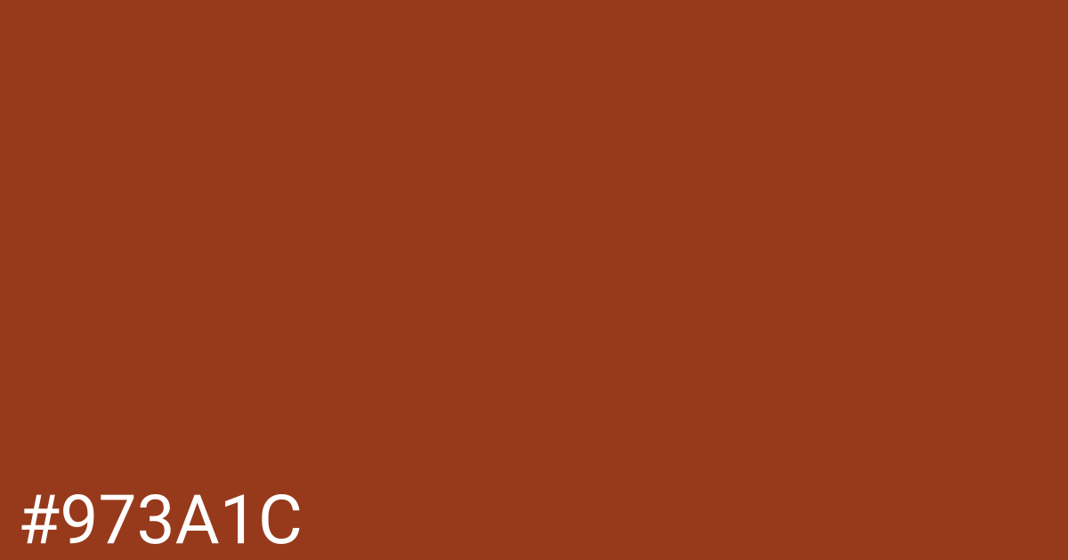 Hex color #973a1c graphic