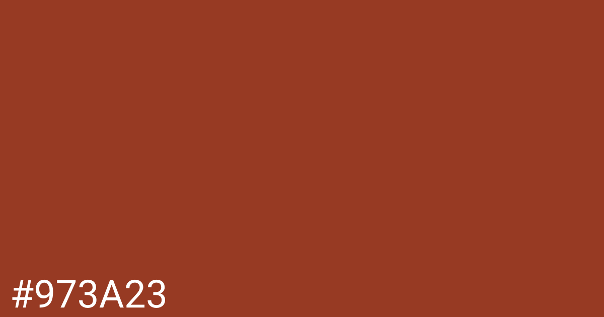 Hex color #973a23 graphic