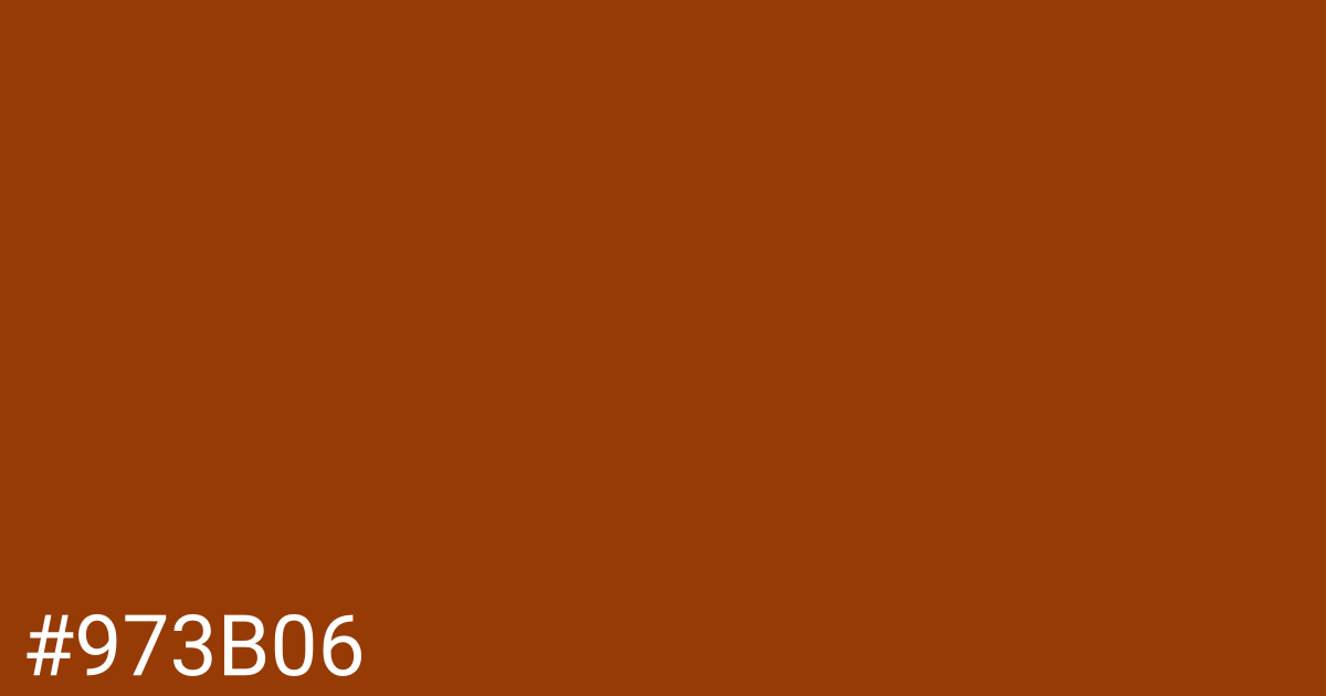 Hex color #973b06 graphic